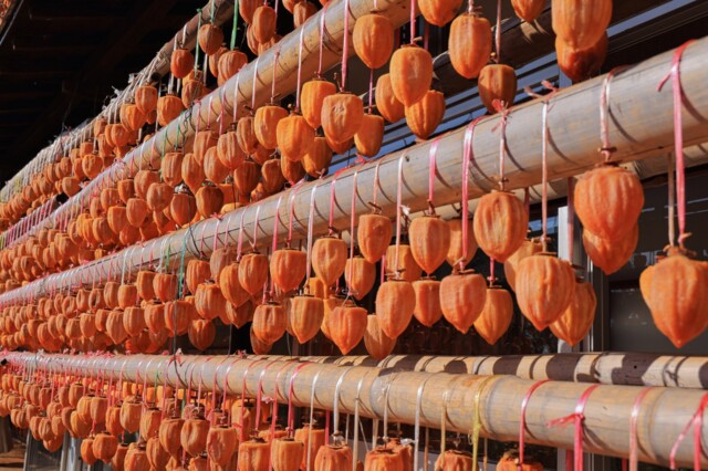 秋十月 吊るし柿